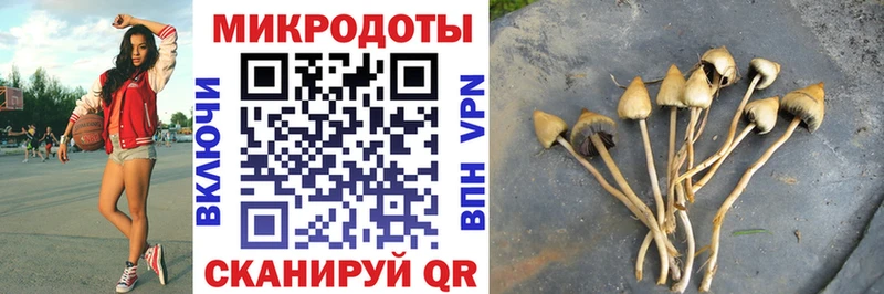 mega как зайти закладки Красноармейск Псилоцибиновые грибы прущие грибы