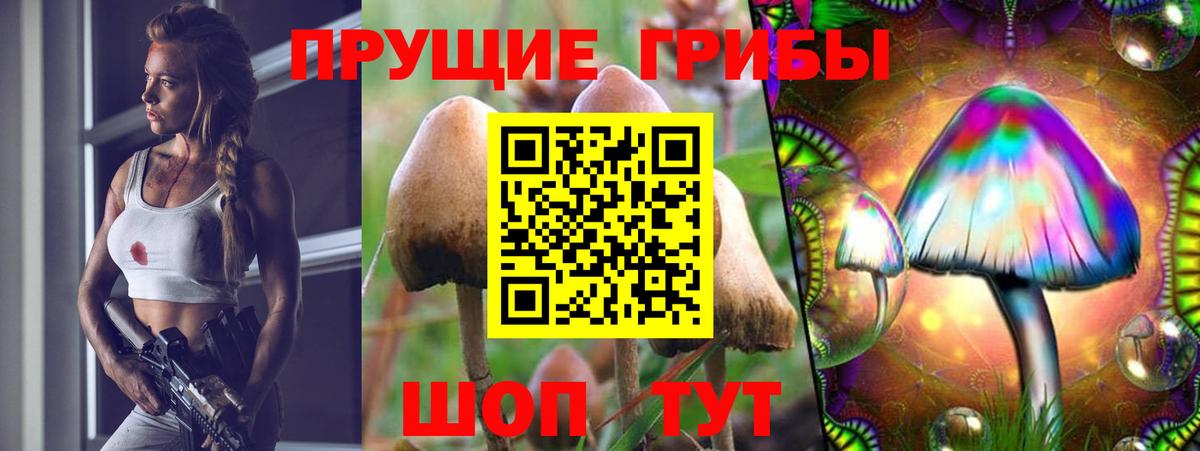 Псилоцибиновые грибы мухоморы  Вход с VPN  Красноармейск 